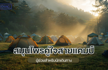 รับผลิตยาสมุนไพร