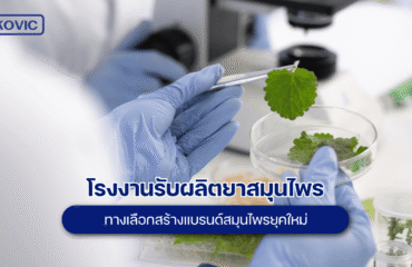 รับผลิตยาสมุนไพร