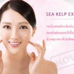 สร้างภูมิคุ้มกันให้กับโครงสร้างเซลล์ (Sea Kelp Extract) ส่วนประกอบการผลิตเครื่องสำอาง