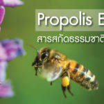 ผลิตอาหารเสริม