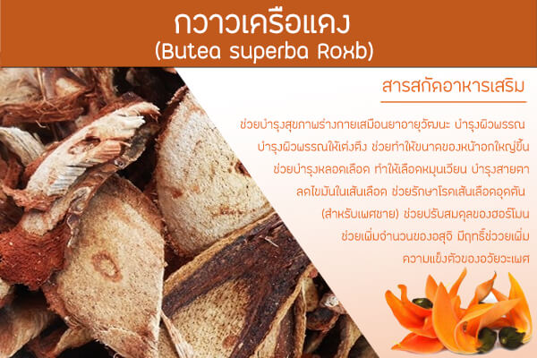 กวาวเครือแดง