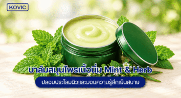 บาล์มสมุนไพรเนื้อนิ่ม