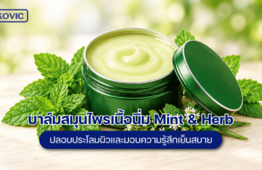 บาล์มสมุนไพรเนื้อนิ่ม Mint & Herb บาล์มสมุนไพรเนื้อนิ่ม