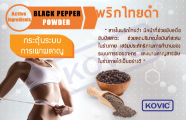 พริกไทยดำ-ส่วนประกอบผลิตภัณฑ์อาหารเสริม-