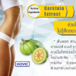 ลดความอ้วน-ส้มแขก