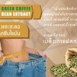 ลดความอ้วนสารสกัดจากกาแฟ
