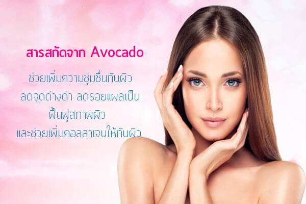 สารสกัดจาก-Avocado