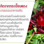 สารสกัดจากกระเจี๊ยบแดง-ส่วนประกอบของอาหารเสริม