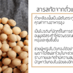 สารสกัดจากถั่วเหลือง
