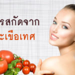 สารสกัดจากมะเขือเทศ-ส่วนประกอบเครื่องสำอางค์