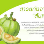 สารสกัดจากส้มแขก