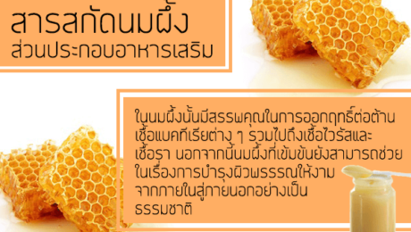 สารสกัดนมผึ้ง