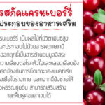สารสกัดแครนเบอร์รี่-ส่วนประกอบของอาหารเสริม