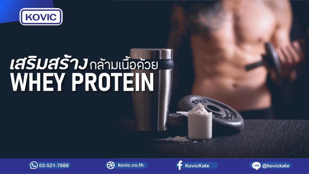 Whey Protein